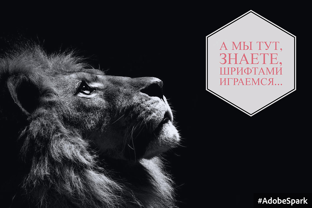 Сам себе дизайнер. Тестируем 7 онлайн-сервисов для создания визуального контента