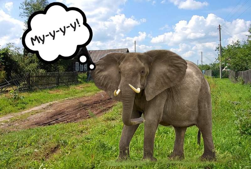 PostgreSQL на русском всерьёз и надолго